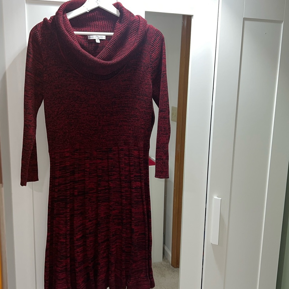 Sandra Darren cowl sweater dress